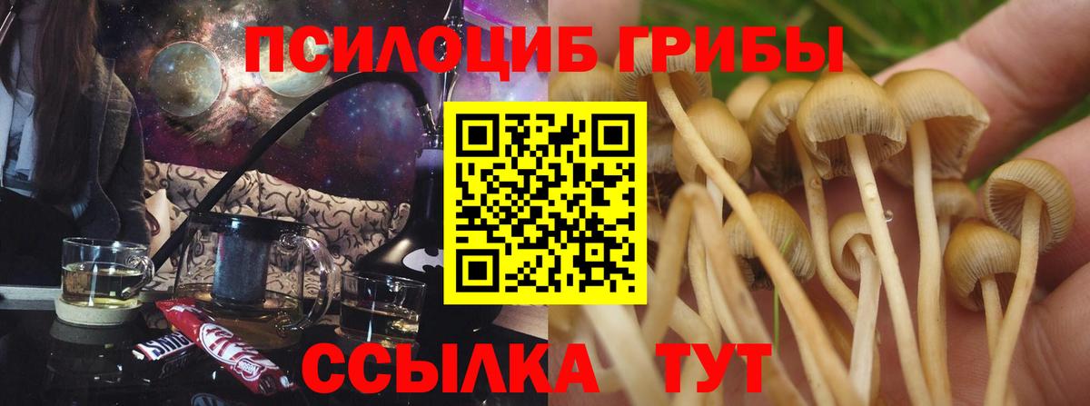 Коммунар  купить закладку  Вход с VPN  Галлюциногенные грибы Cubensis 