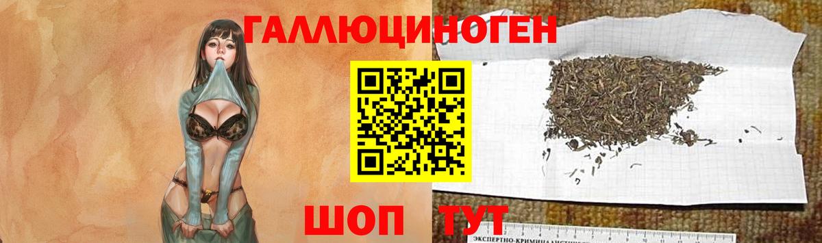 Псилоцибиновые грибы прущие грибы Коммунар
